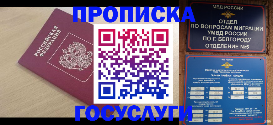 прописка законно в Дедовске